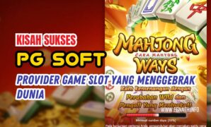 provider slot pg soft